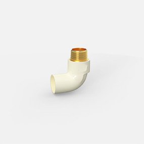 C-PVC Brass Socket (Male)